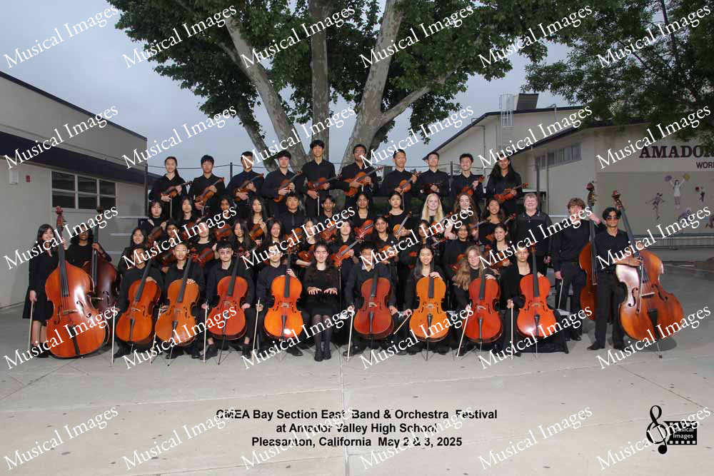 Musical Images